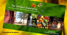 Design of Logo and Brochure