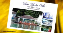 Design of Logo and Brochure