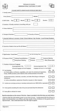 The Immigration Form