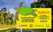 Road Sign Design