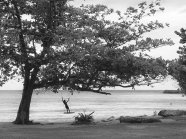Winnifred-Beach-Swing