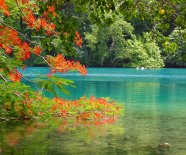 Blue-Lagoon