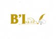 Black Ink Marketing & Event Solutions Ltd logo