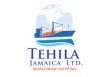 Tehila Jamaica Limited logo