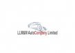 LLM&M Auto Company logo