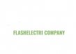 Flash electri logo