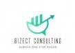 Bizect Consulting logo