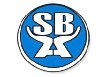 Small Business Association Of Jamaica (SBAJ) logo
