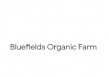 Bluefields Organic Farm logo
