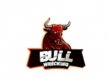Bull Wrecking logo