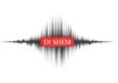 DJ Shem - Premier Corporate & Wedding DJ logo