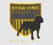Star One Protection Company Limited logo