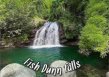 Fish Dunn Falls logo