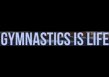 Ishimoto School of Gymnastics logo