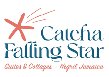 Ivan’s at Catch A Falling Star logo