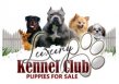 Dog Breeders Jamaica Ltd. logo