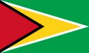 Consulate of Guyana logo