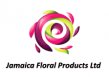 Jamaica Floral Products Ltd logo
