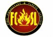 Fire Consultants & Safety logo