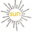 Sun Computers & Information Services logo