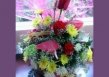 Nichola's House Of Flowers & Wedding  logo