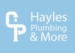 Hayles Plumbing & More logo