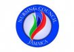 Nursing Council of Jamaica logo