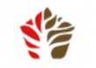 Pamaco Limited logo