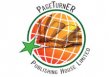 PageTurner Publishing House Limited logo