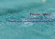 Premier Optical Ltd logo