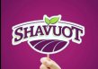 Shavuot Brands logo