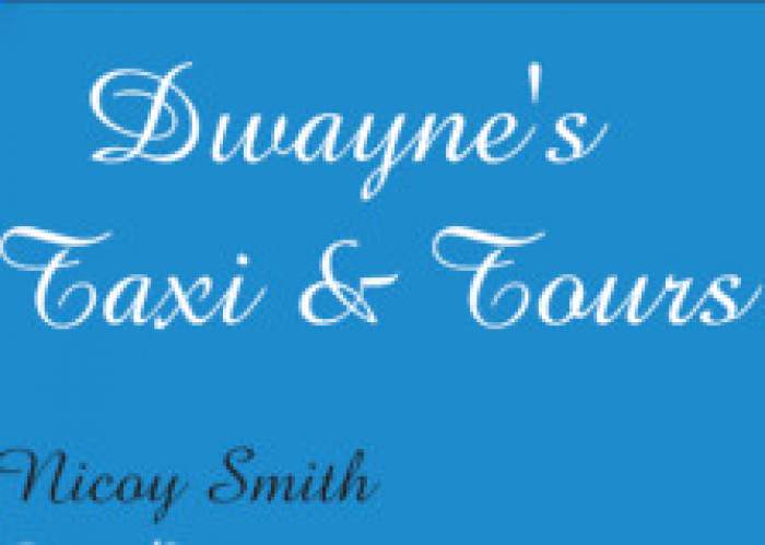 Dwayne's Taxi & Tours logo