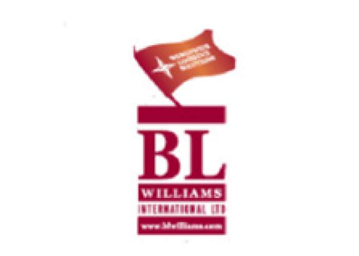 Blw International Limited logo