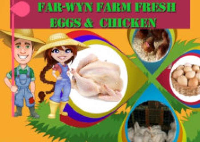 Far-Wyn Farm Fresh Eggs & Chickens logo