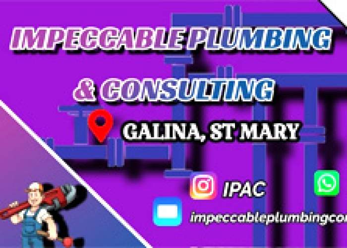 Impeccable Plumbing And Consulting logo