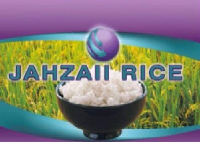 Jahzaii Distribution Services Limited logo