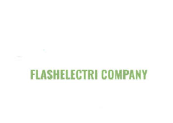 Flash electri logo