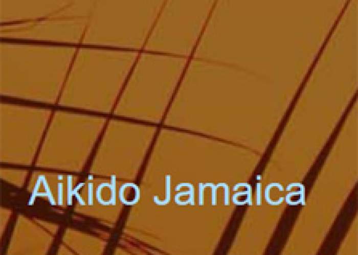 Aikido Jamaica logo