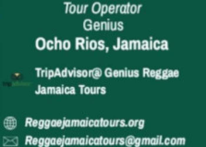 Genius Reggae Jamaica Tours logo