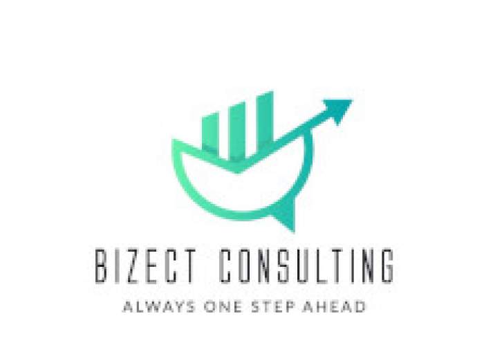 Bizect Consulting logo