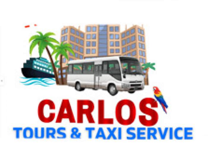 Carlos Tours Jamaica logo