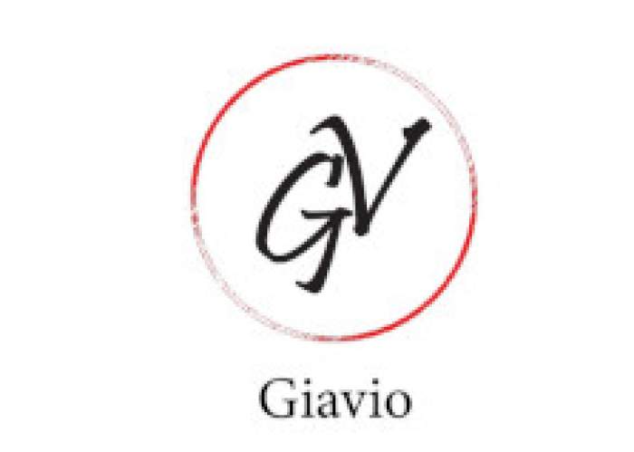 Giavio Enterprise logo