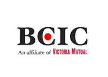 British Caribbean Ins Co Ltd logo