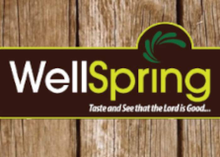 WellSpring Raw Juices logo