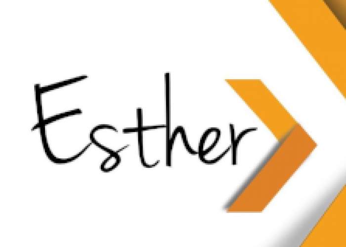 Esther Ventures Group logo