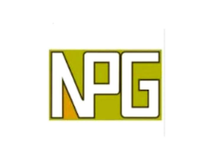NPG Insurance Brokers Limited logo