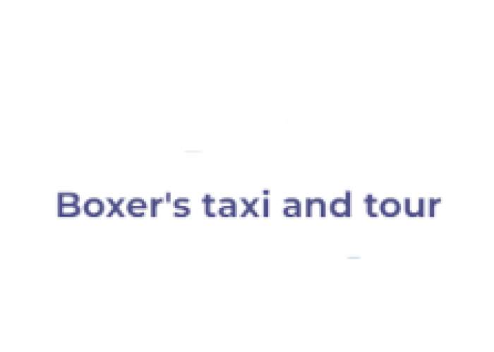 Boxer's Taxi And Tour logo