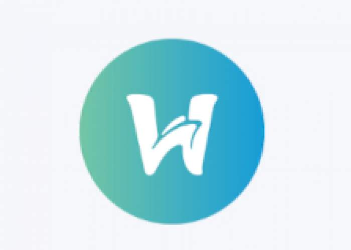 WilShip Ltd logo