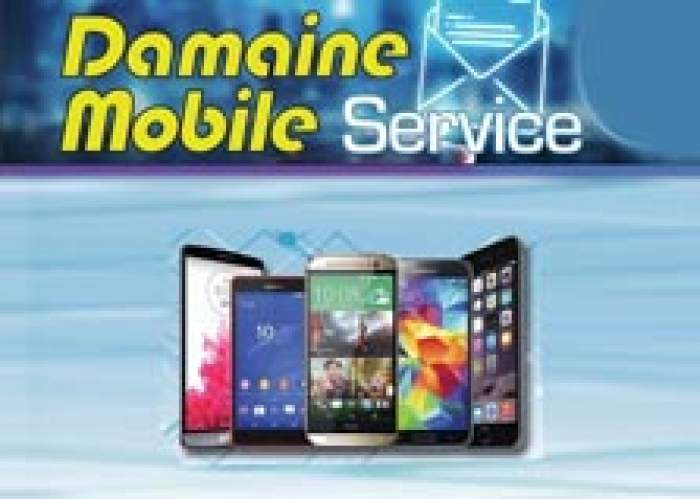 Damaine Unlocking & Computer Services  logo