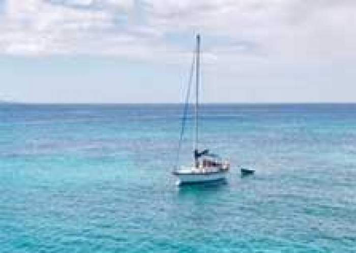 Jamaica Sailing Adventures logo
